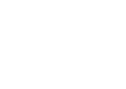 Logo Paintball a Nerf Dvořák